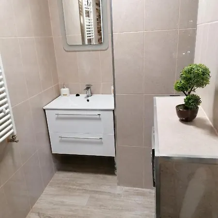 Guest house Studio La Curte In Faleza N *